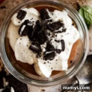 Deep Chocolate Delight 7 Overhead view of pudding in a small bowl topped with whipped cream and crushed oreos.