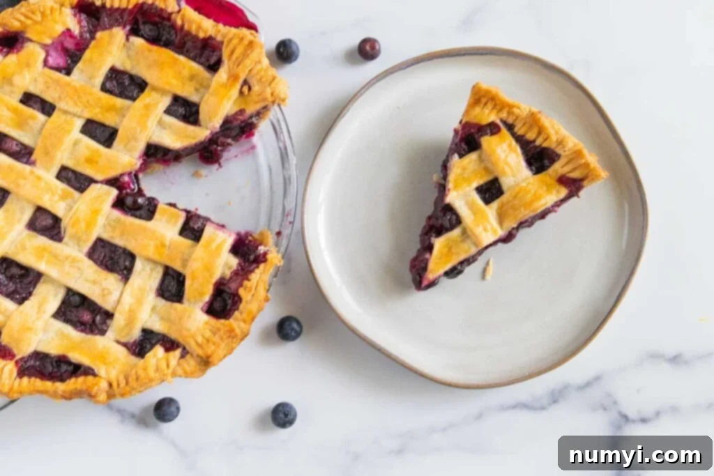 A perfectly baked slice of blueberry pie resting on a white plate, with the rest of the pie subtly visible in the background.