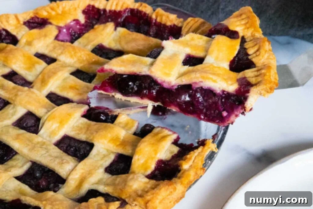A close-up shot of a single slice of homemade blueberry pie, showcasing its thick, juicy filling and golden, flaky crust.
