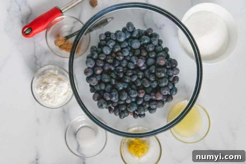 A glass bowl filled with fresh blueberries, surrounded by smaller bowls containing various spices like nutmeg, lemon zest, and cornstarch, ready for the pie filling.