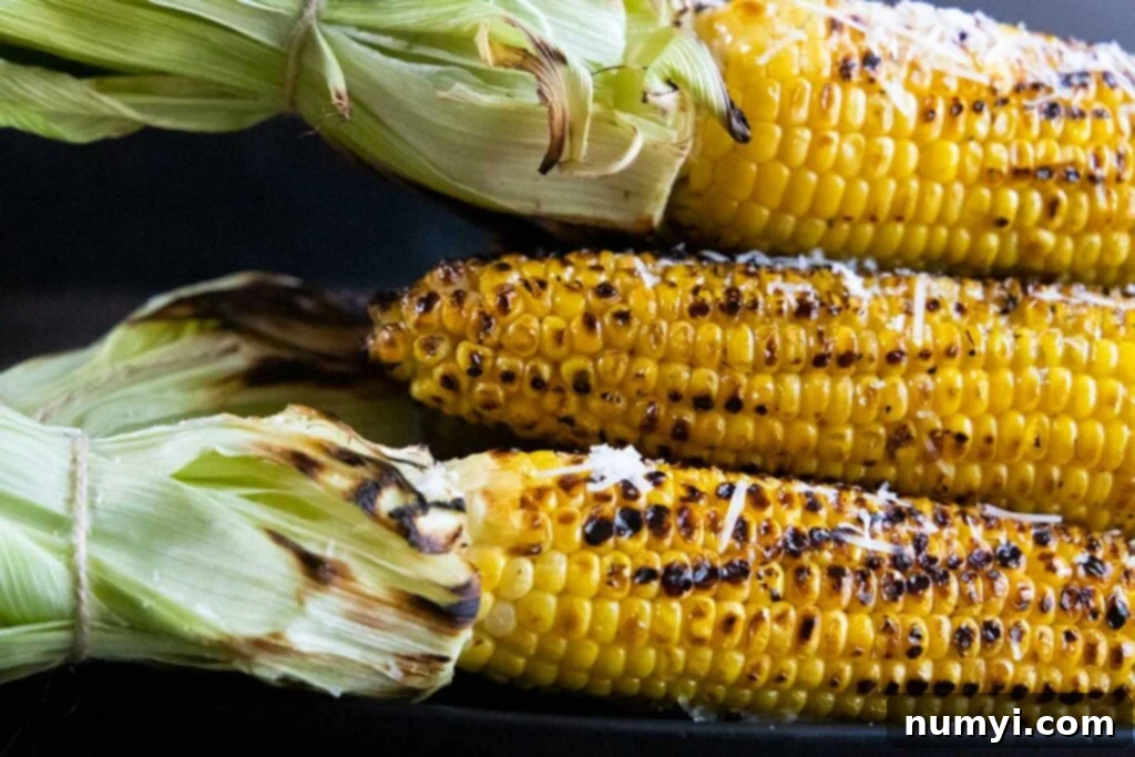 Fire-Roasted Sweet Corn 3 Grilled corn on the cob with the husks pulled back and tied