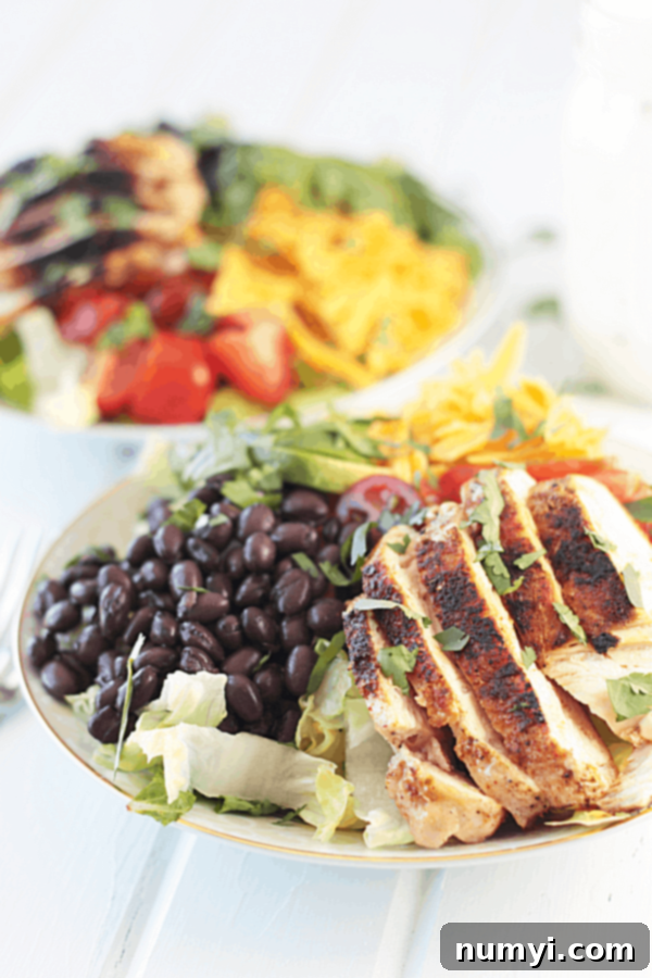Creamy Ranch Chicken Taco Salad 2 Two bowls of chicken taco salad, one in focus with vibrant colors, topped with creamy ranch and tortilla chips.