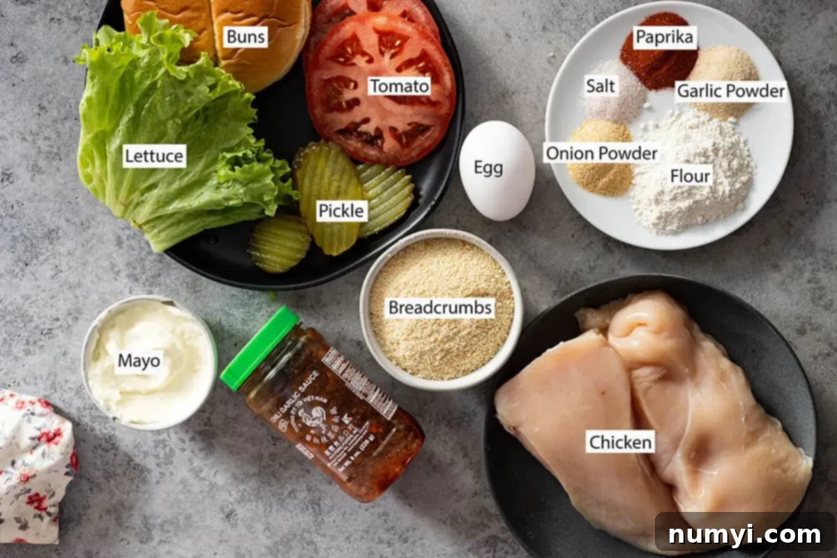 A vibrant flat lay of all ingredients for the crispy chicken sandwich: chicken breasts, mayonnaise, chili sauce, paprika, garlic powder, onion powder, salt, all-purpose flour, breadcrumbs, egg, fresh lettuce, brioche buns, sliced tomatoes, and pickles.