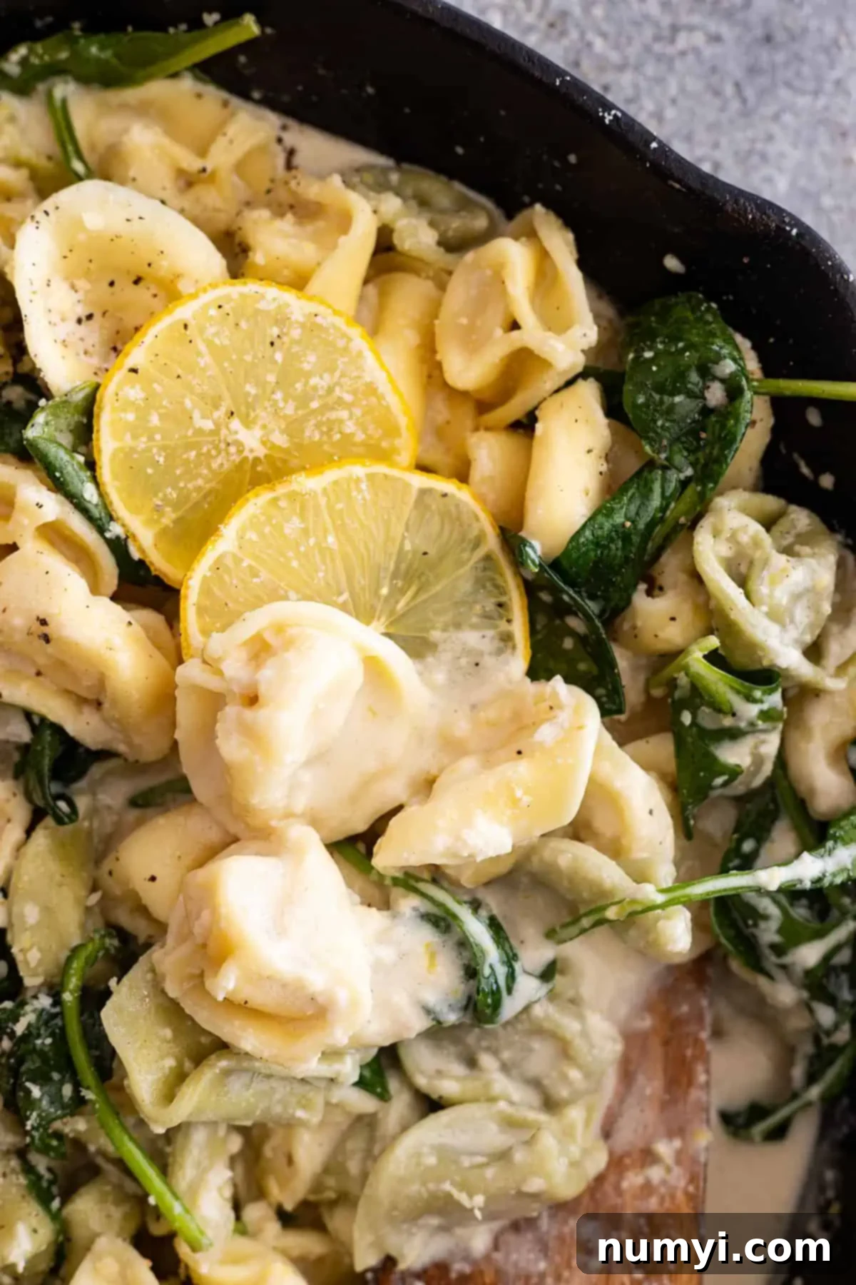 A close-up view of the creamy lemon tortellini dish artfully arranged in a skillet. The pasta is beautifully garnished with delicate fresh lemon slices and a sprinkle of vibrant chopped parsley, accentuating the rich, velvety sauce and the tender, cheesy tortellini underneath.
