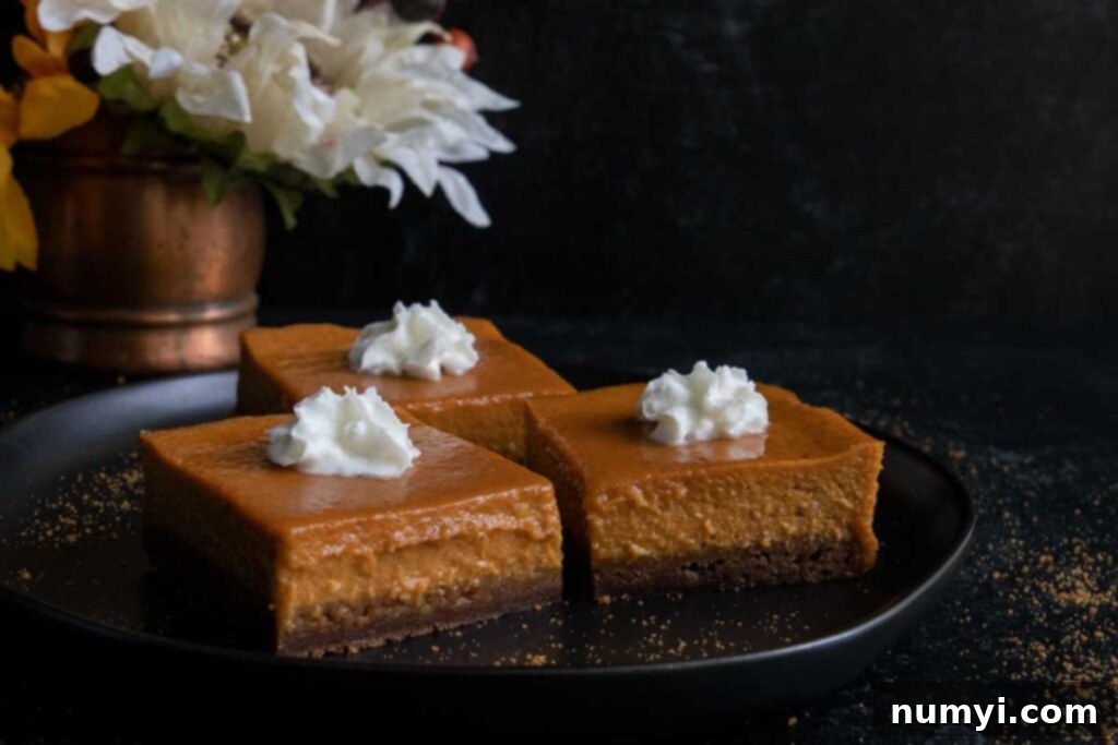 Velvety Pumpkin Spice Bars 2 Perfectly sliced pumpkin pie bars on a black plate, artfully garnished with a dollop of whipped cream and a sprinkle of cinnamon.