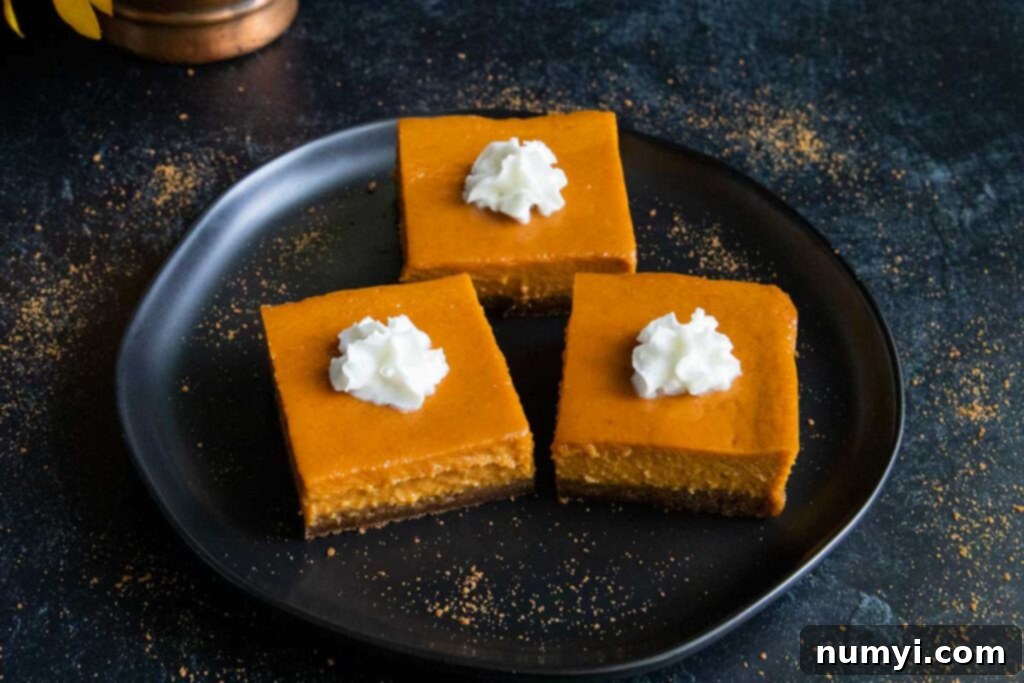Velvety Pumpkin Spice Bars 3 Close-up of a pumpkin pie bar, showcasing its creamy texture and the distinct gingersnap crust, presented on a dark plate with whipped cream.