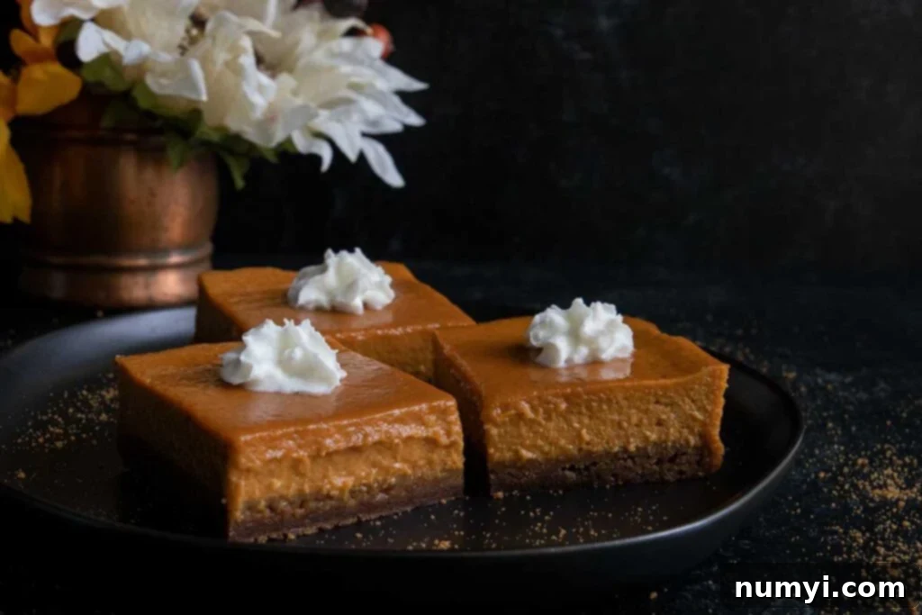 Velvety Pumpkin Spice Bars 6 A single pumpkin pie bar on a small black plate, elegantly topped with a swirl of fresh whipped cream and a hint of cinnamon.