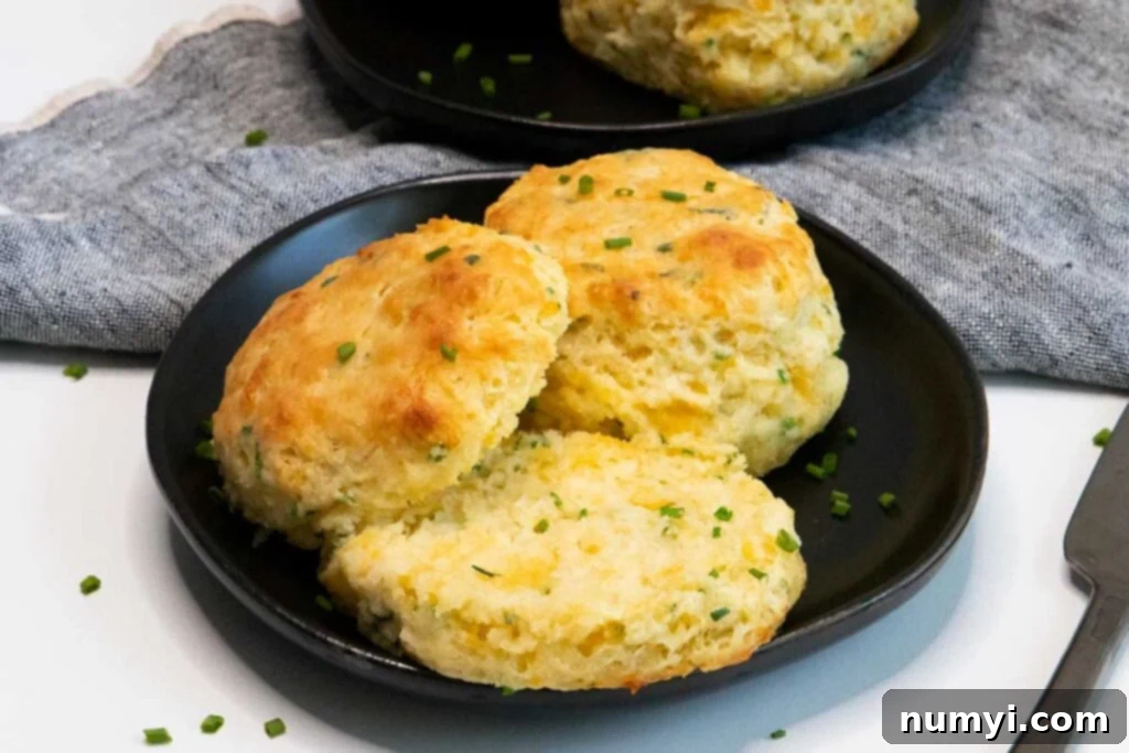 Fluffy Cheddar Chive Biscuits 2 Golden brown cheddar chive biscuits arranged beautifully on a rustic black plate, highlighting their flaky texture and visible cheese and chive specks.