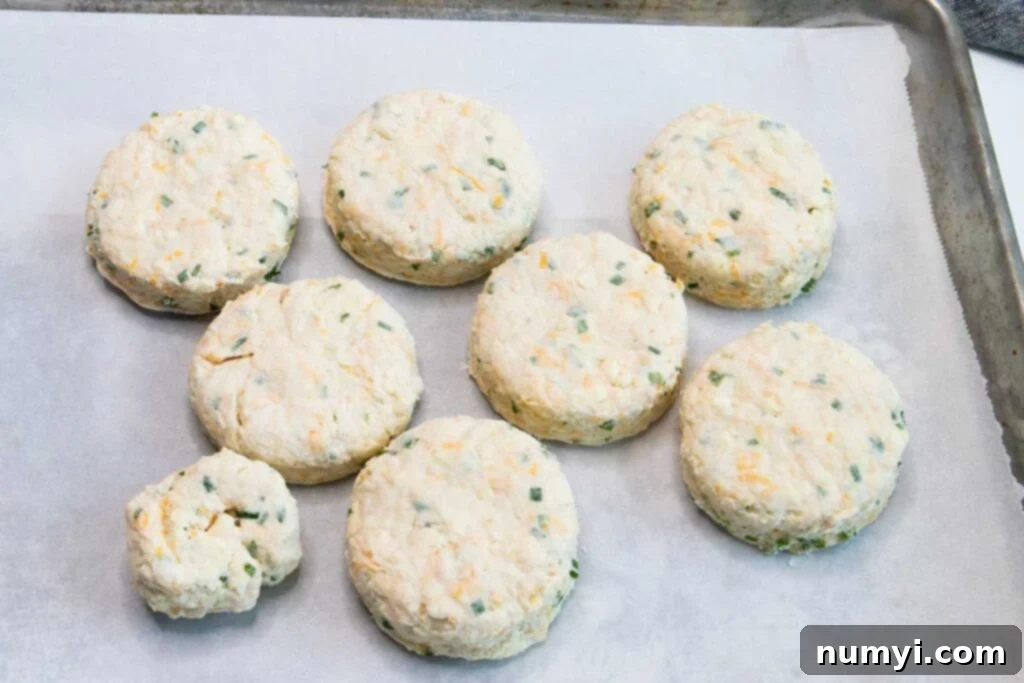 Fluffy Cheddar Chive Biscuits 7 Raw, cut cheddar chive biscuits neatly arranged on a parchment-lined baking sheet, almost touching.