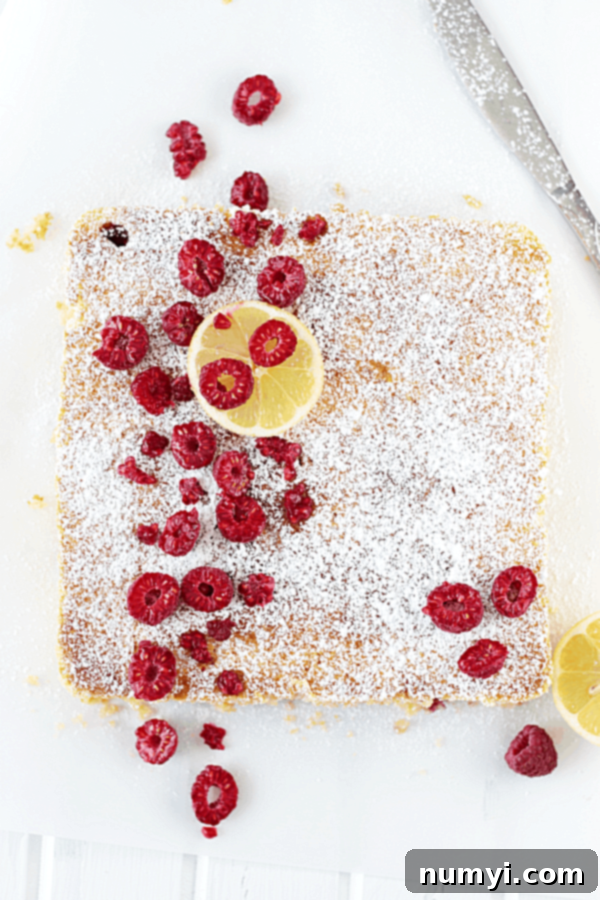 Zesty Lemon Raspberry Coffee Cake 2 Lemon Raspberry Coffee Cake covered in powdered sugar and fresh raspberries