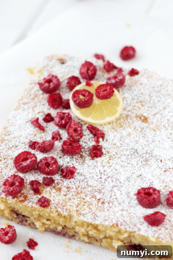 Zesty Lemon Raspberry Coffee Cake 3 coffee cake flavored with fresh lemon and raspberries, and dusted with powdered sugar