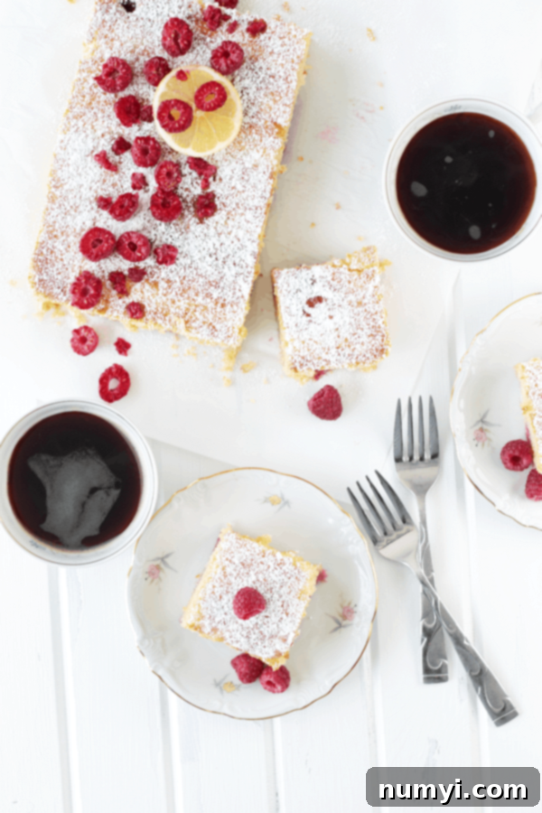 Zesty Lemon Raspberry Coffee Cake 4 An overhead shot of the lemon raspberry coffee cake beside a cup of coffee