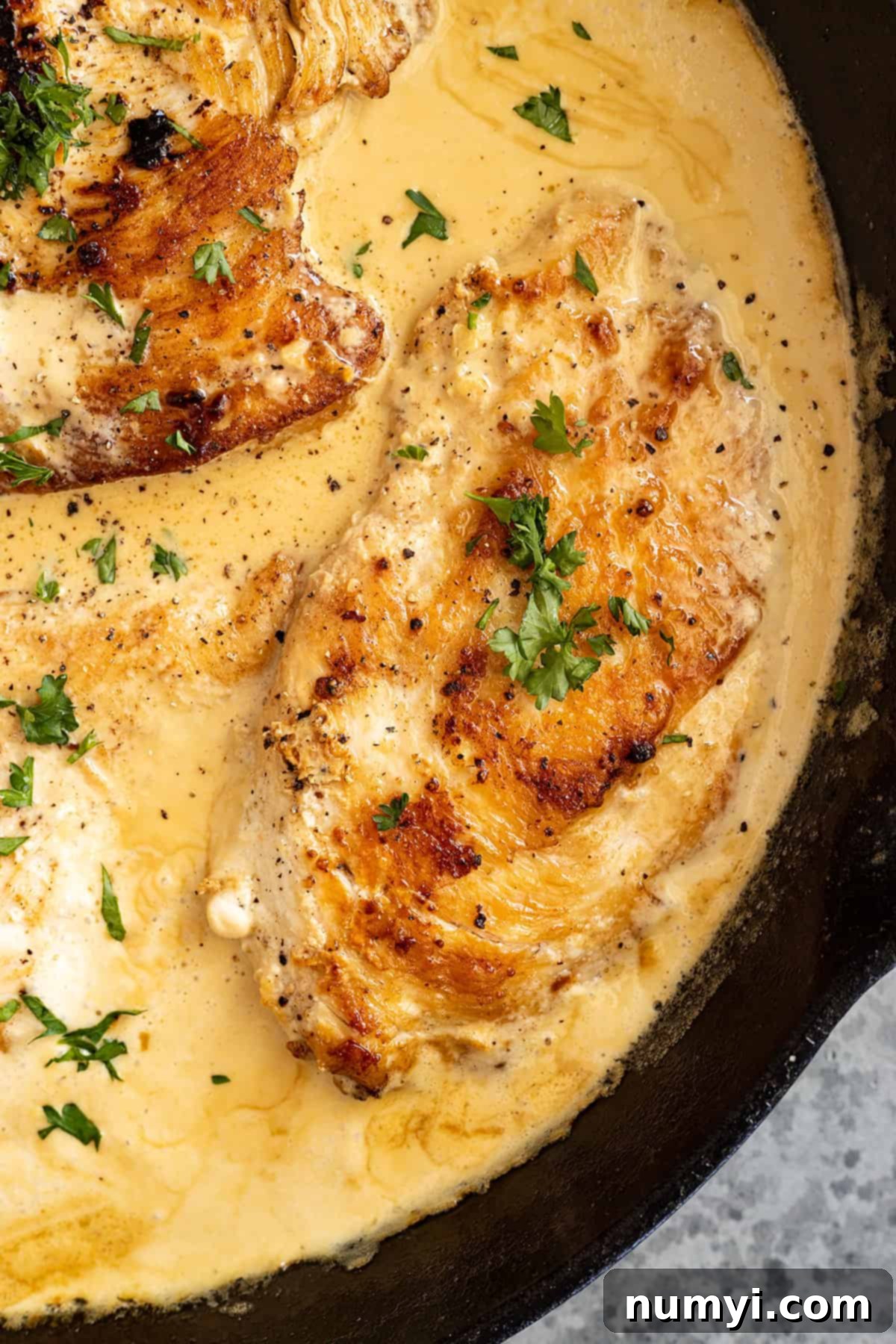 Close up of chicken in a cast iron pan. Garnished with fresh parsley, ready to be served.