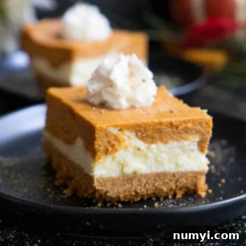 A delectable pumpkin cheesecake bar, beautifully layered and ready to be served, resting on a sophisticated black plate.