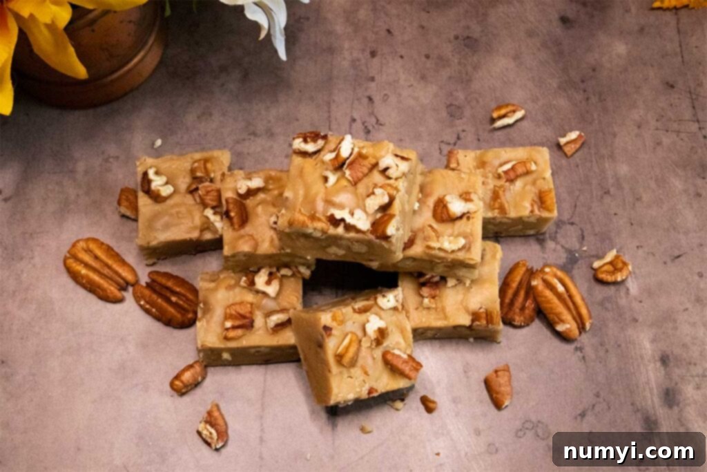 Overhead view of a tray of freshly made butter pecan fudge with chopped pecans on top.