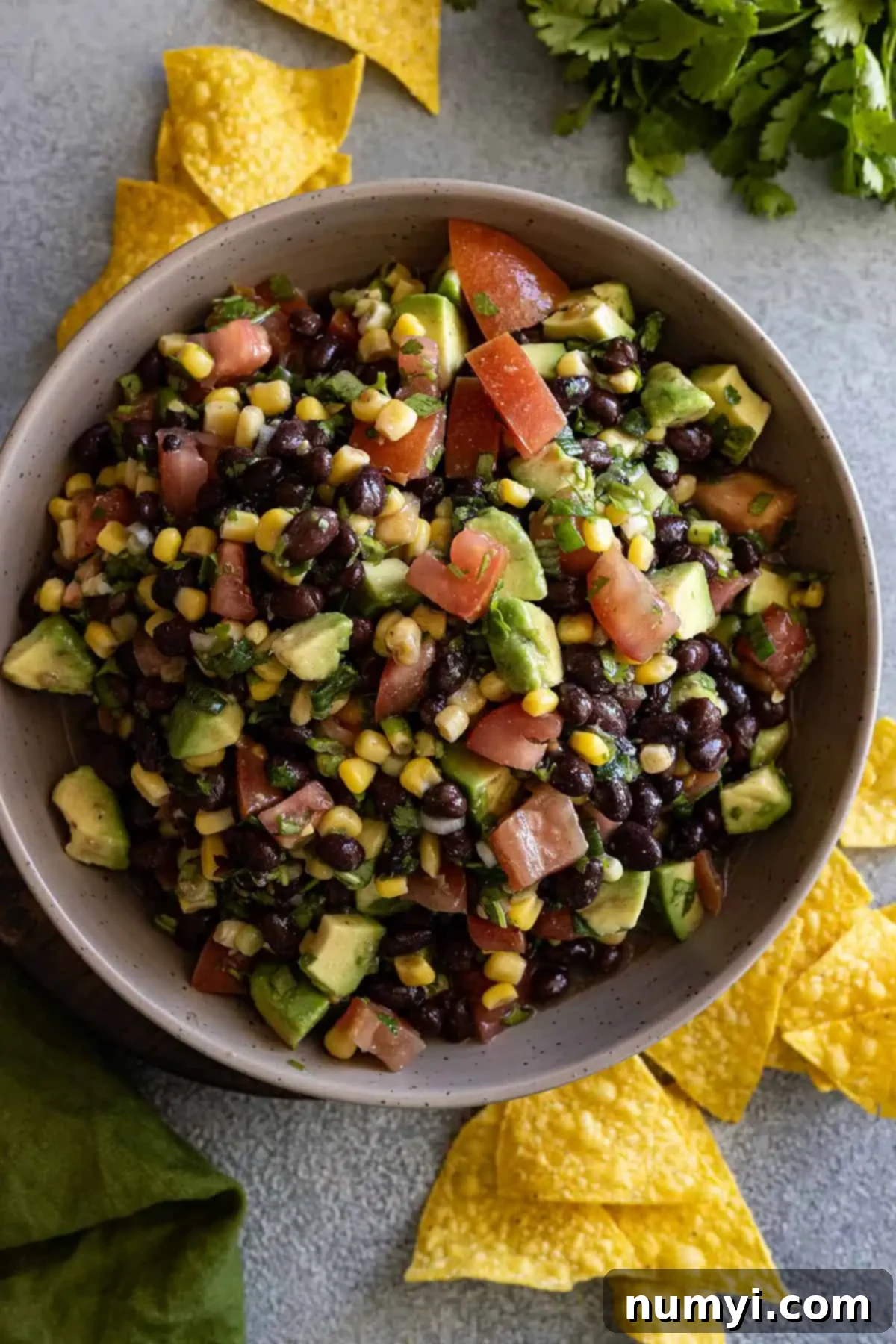Overhead picture of salsa in a large bowl with chips scattered around. 