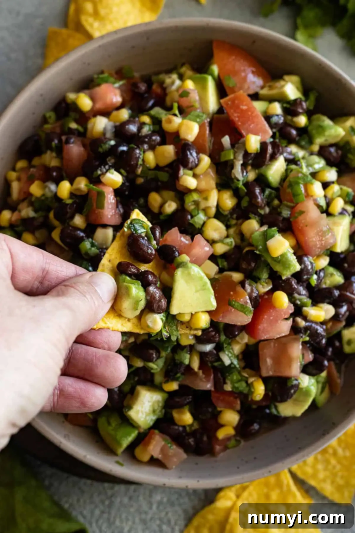 Chip being dipped into the salsa. 