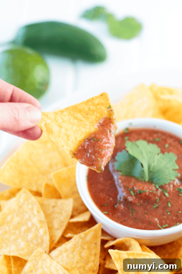 A bowl of smooth, red blender salsa surrounded by tortilla chips, with one chip generously dipped in salsa in the foreground.