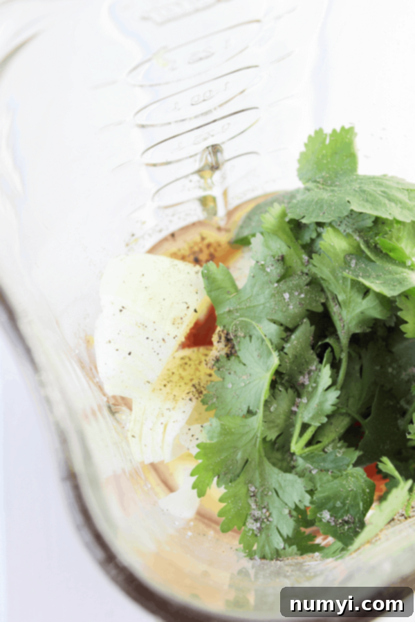 Ingredients for salsa, including diced tomatoes, cilantro, garlic, jalapeno, and onion, loaded into a blender, ready to be processed.