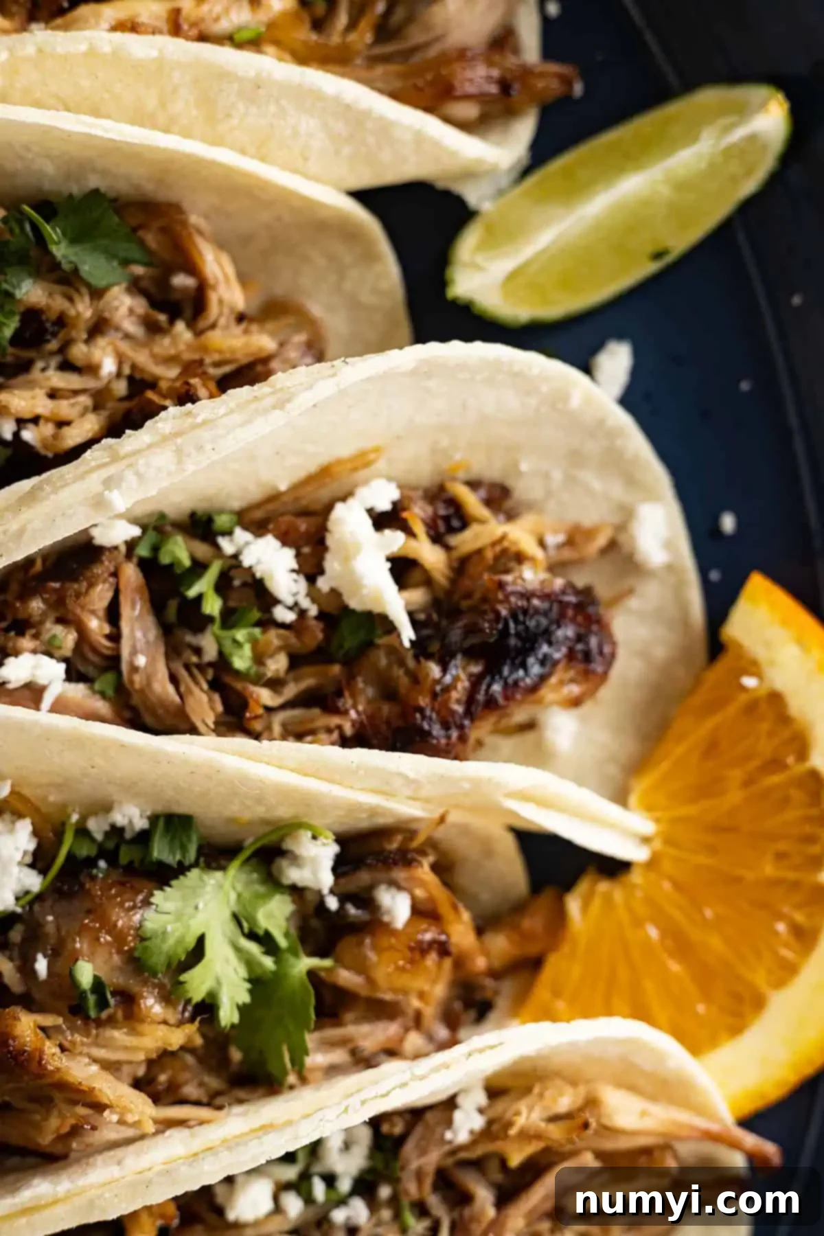 Close up of mexican pulled pork in taco shells. Cheese sprinkled on top. 