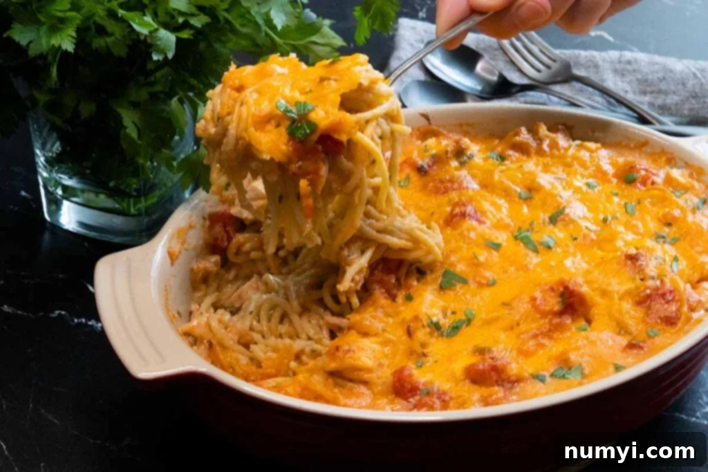Creamy Chicken and Cheese Spaghetti 3 A serving spoon lifting a generous portion of creamy chicken spaghetti from a casserole dish, highlighting the rich sauce and tender chicken pieces.