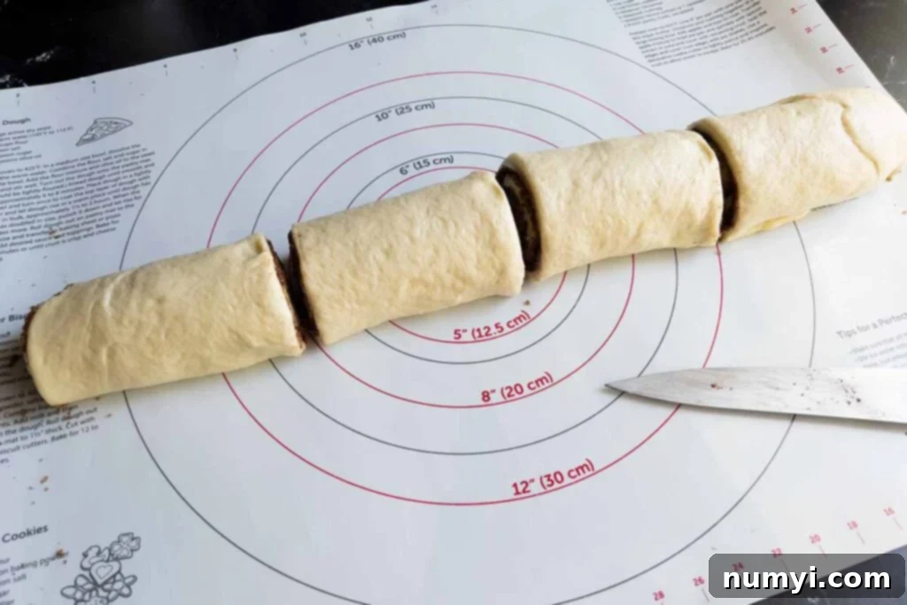 Initial cuts made on a cinnamon roll dough log, dividing it into sections.