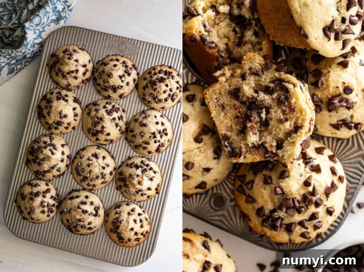 Two pictures, left one showing muffins right out of the oven in the pan. The right showing muffins gathered together with one cut in half showing the inside. 