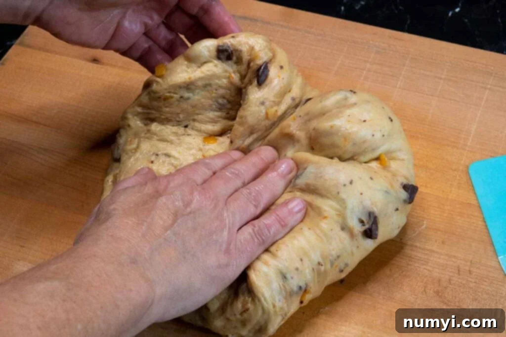 shaping the panettone