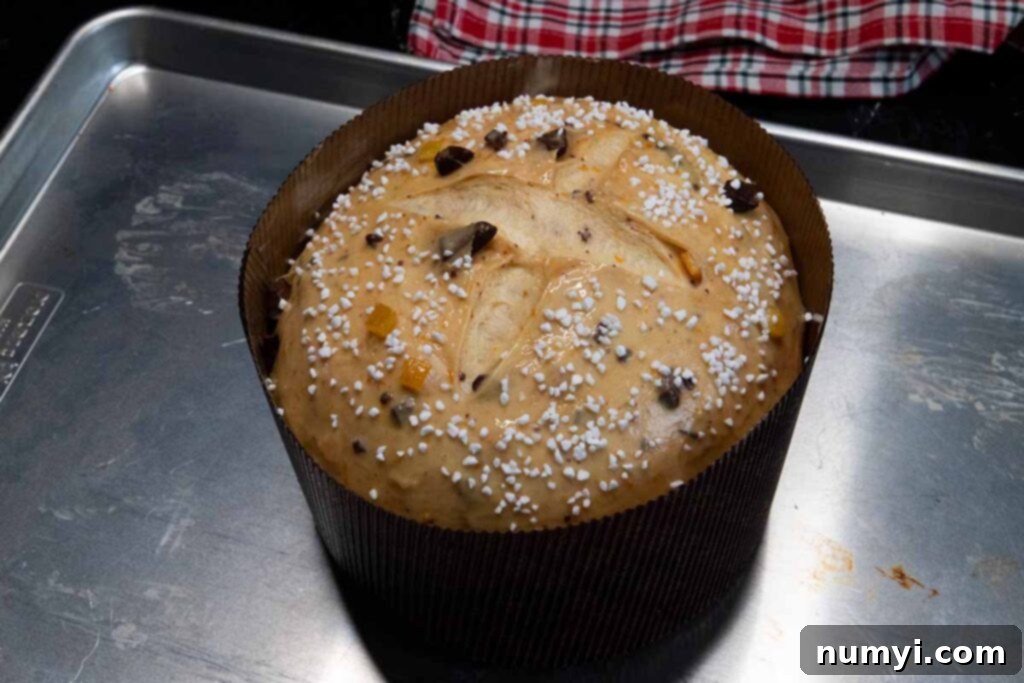 sprinkled the dough with pearl sugar