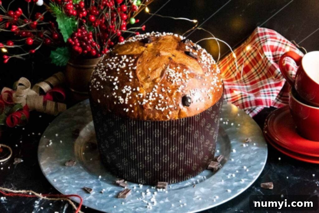 baked panettone