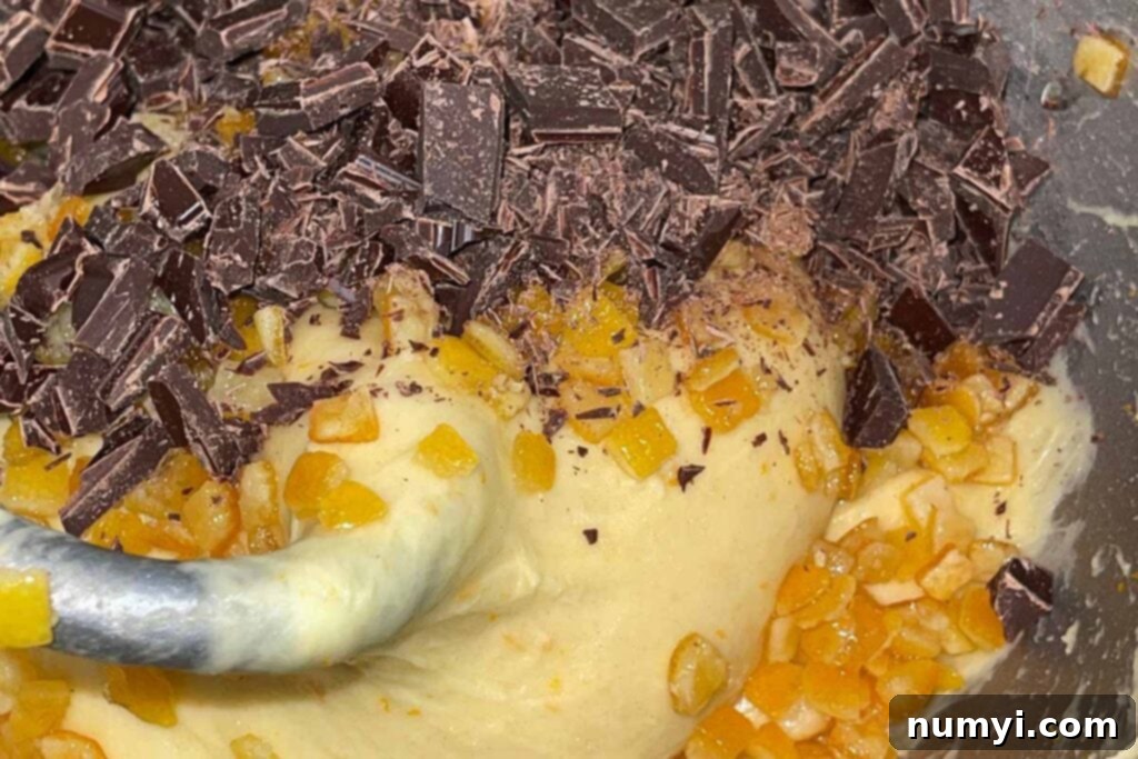 chocolate and candied orange peel added to the dough