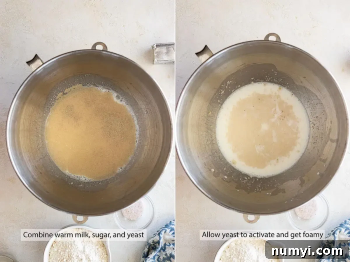 Soft Dinner Rolls 4 Two pictures showing how to "bloom" the yeast in a bowl: one with yeast granules, the other with foamy, activated yeast.