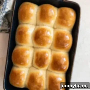 Soft Dinner Rolls 9 Overhead picture of dinner rolls out of the oven and brushed with butter.