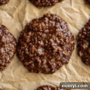 Peanut Butter Chocolate No-Bake Bliss Bombs 7 img 33732 6