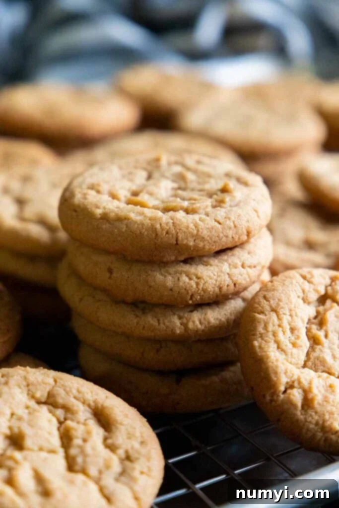 Grandma's Peanut Butter Cookies 2 Peanut butter cookies on a wire rack in a baking sheet.
