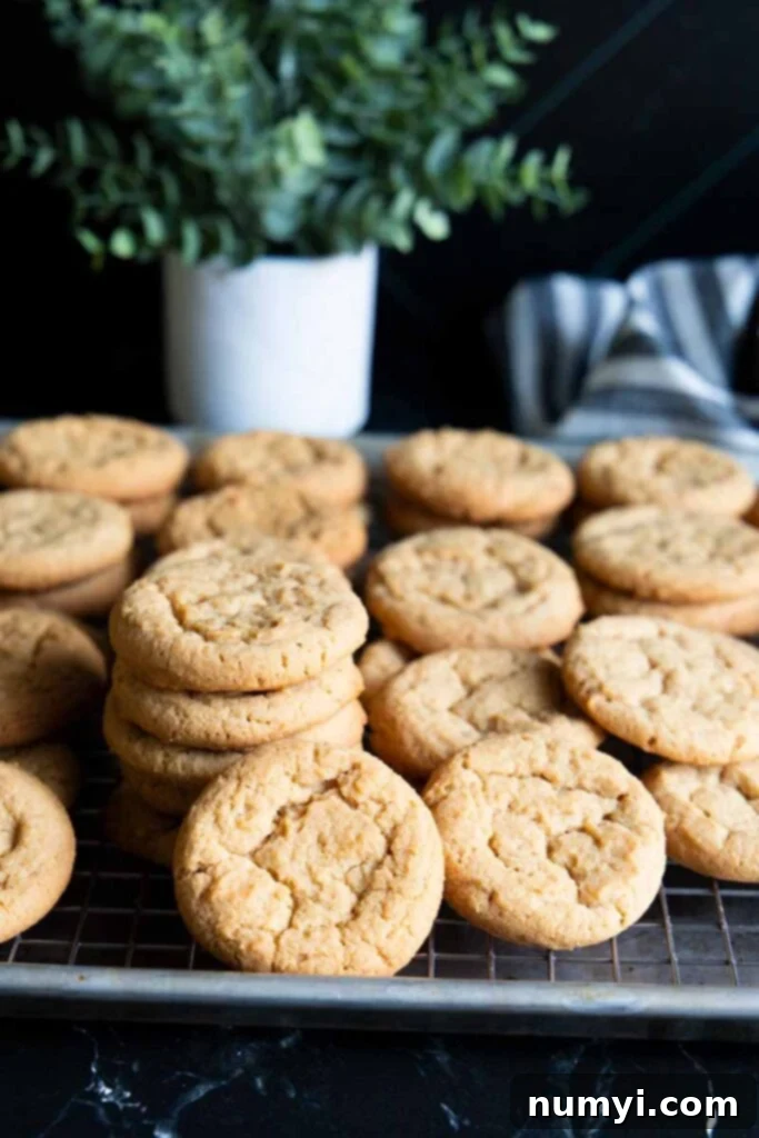 Grandma's Peanut Butter Cookies 3 Peanut butter cookies stacked on a wire rack.