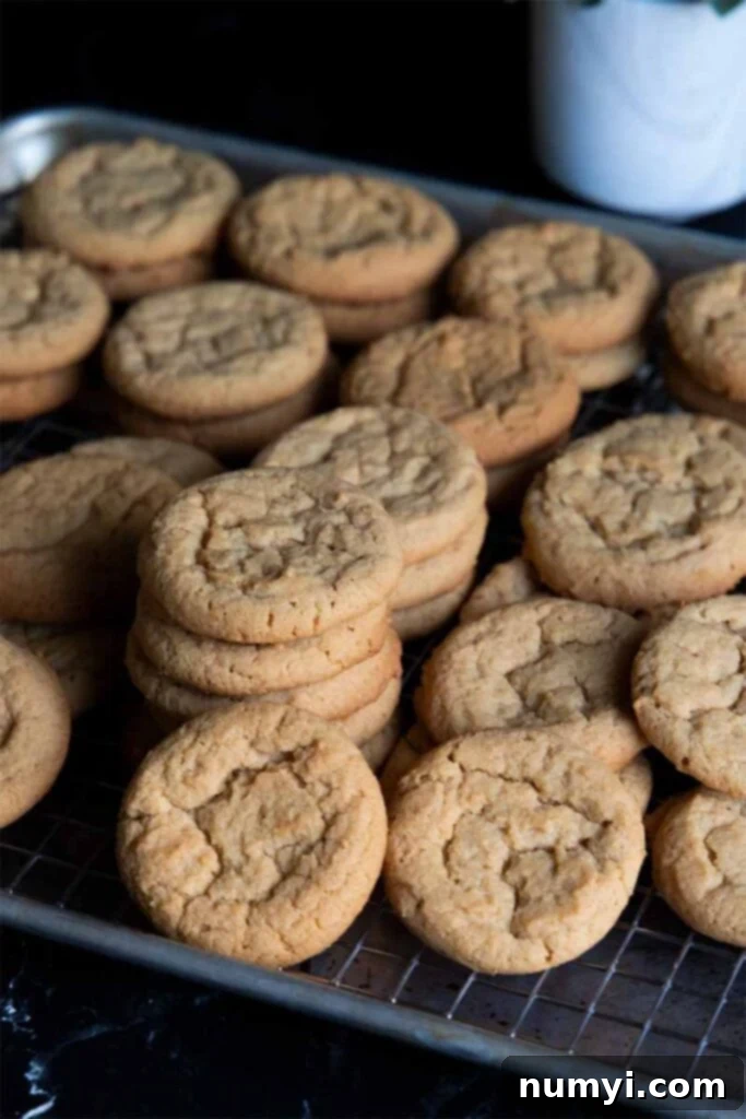 Grandma's Peanut Butter Cookies 4 Peanut butter cookies stacked on a wire rack in a baking sheet.