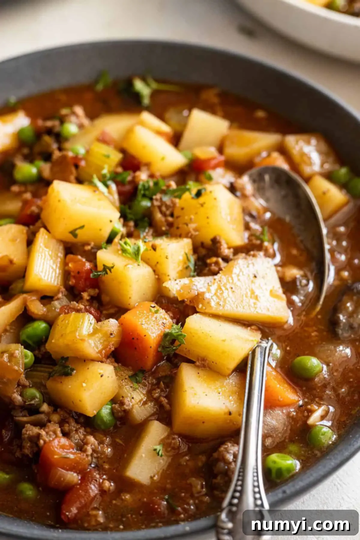 Close up of hamburger stew in bowl.