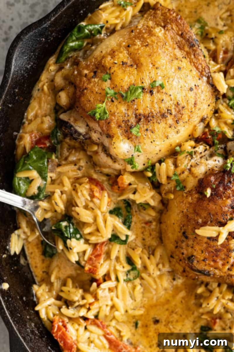 Overhead picture of tuscan chicken orzo in a cast iron skillet with one thigh removed to show the creamy orzo underneath. 