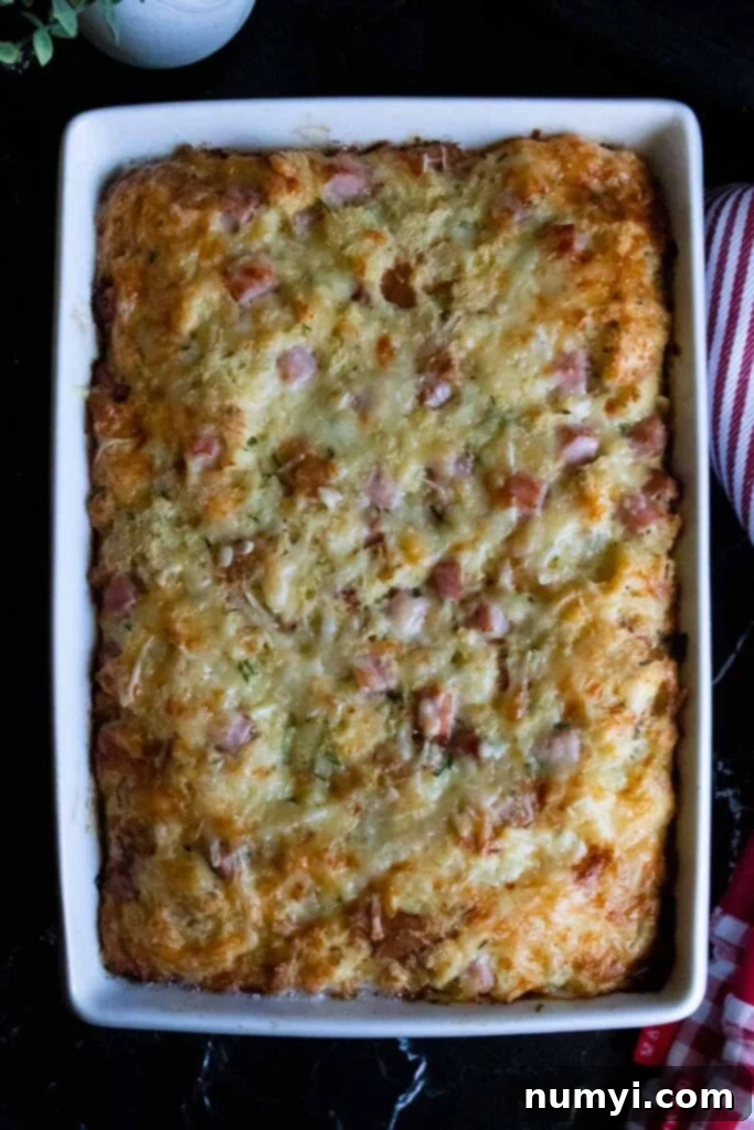 A baked ham and cheese strata, golden and puffed, cooling in its baking dish on a dark surface, ready to be served.