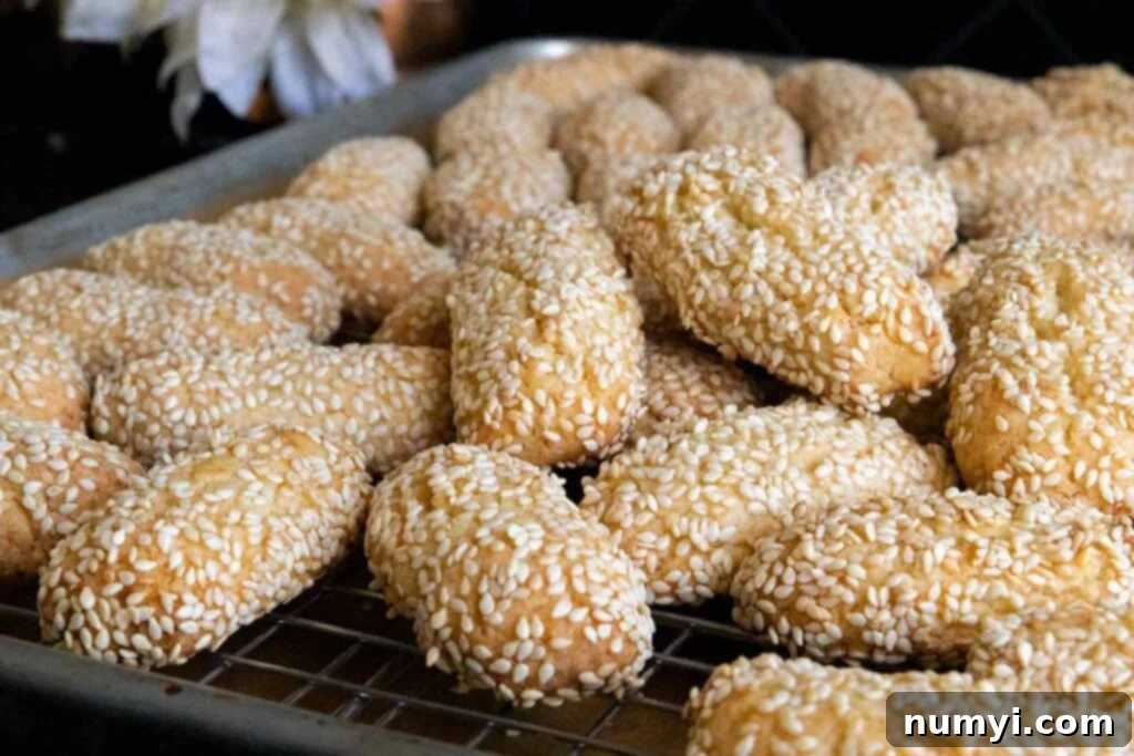 Biscotti Regina Italian Sesame Seed Cookies 2 Italian sesame seed cookies on baking sheet, ready to be enjoyed.