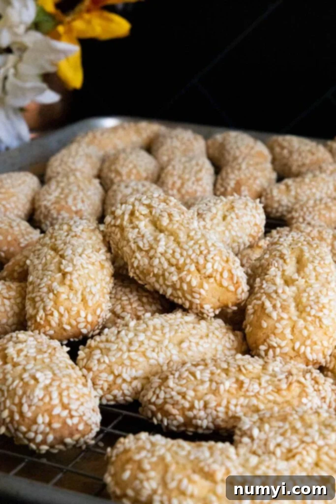Biscotti Regina Italian Sesame Seed Cookies 3 Close-up of baked Italian sesame seed cookies on a baking sheet, showing their golden-brown color and sesame coating.
