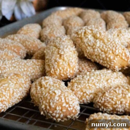 Biscotti Regina Italian Sesame Seed Cookies 7 Italian sesame seed cookies on baking sheet.