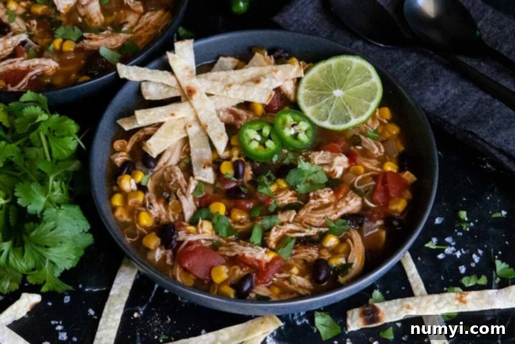 Stovetop Chicken Tortilla Soup 2 Chicken tortilla soup prepared on the stovetop
