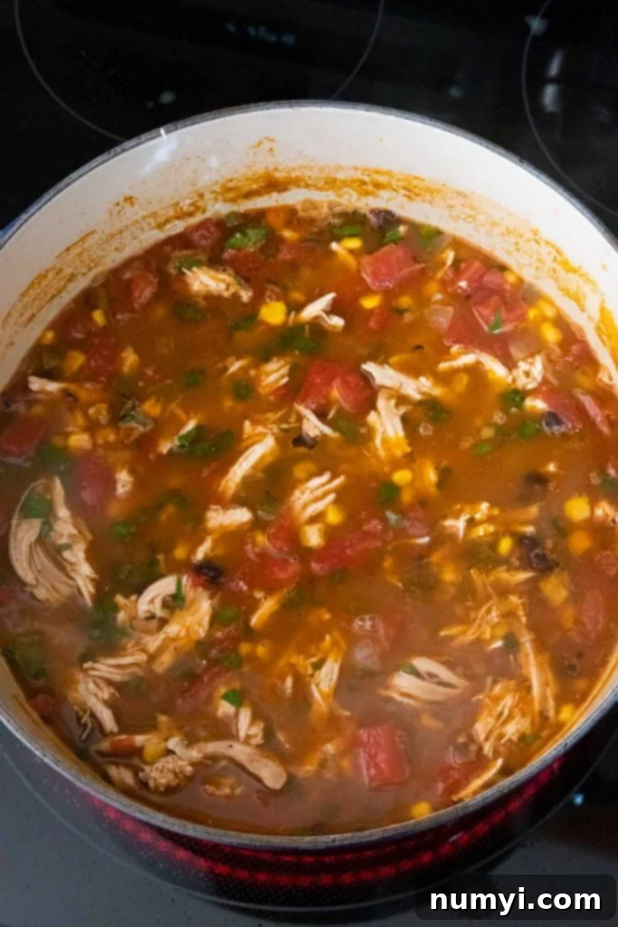 Stovetop Chicken Tortilla Soup 6 Chicken tortilla soup cooking on the stove top