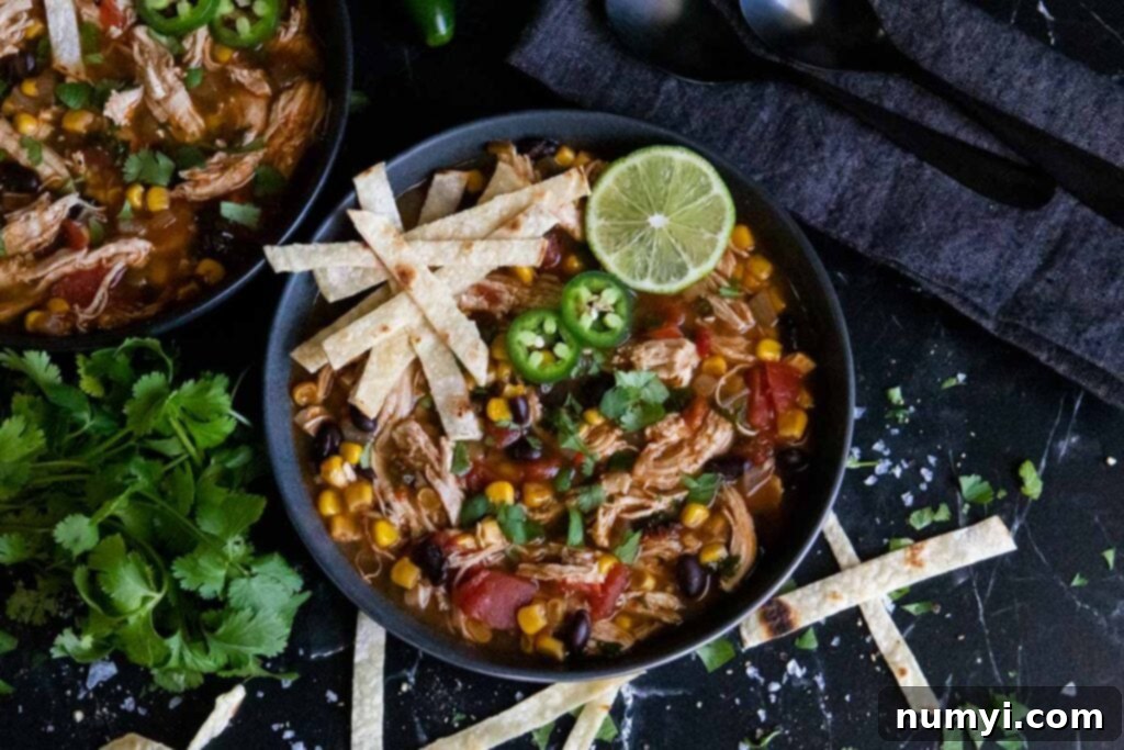 Stovetop Chicken Tortilla Soup 8 chicken tortilla soup with tortilla strips garnish