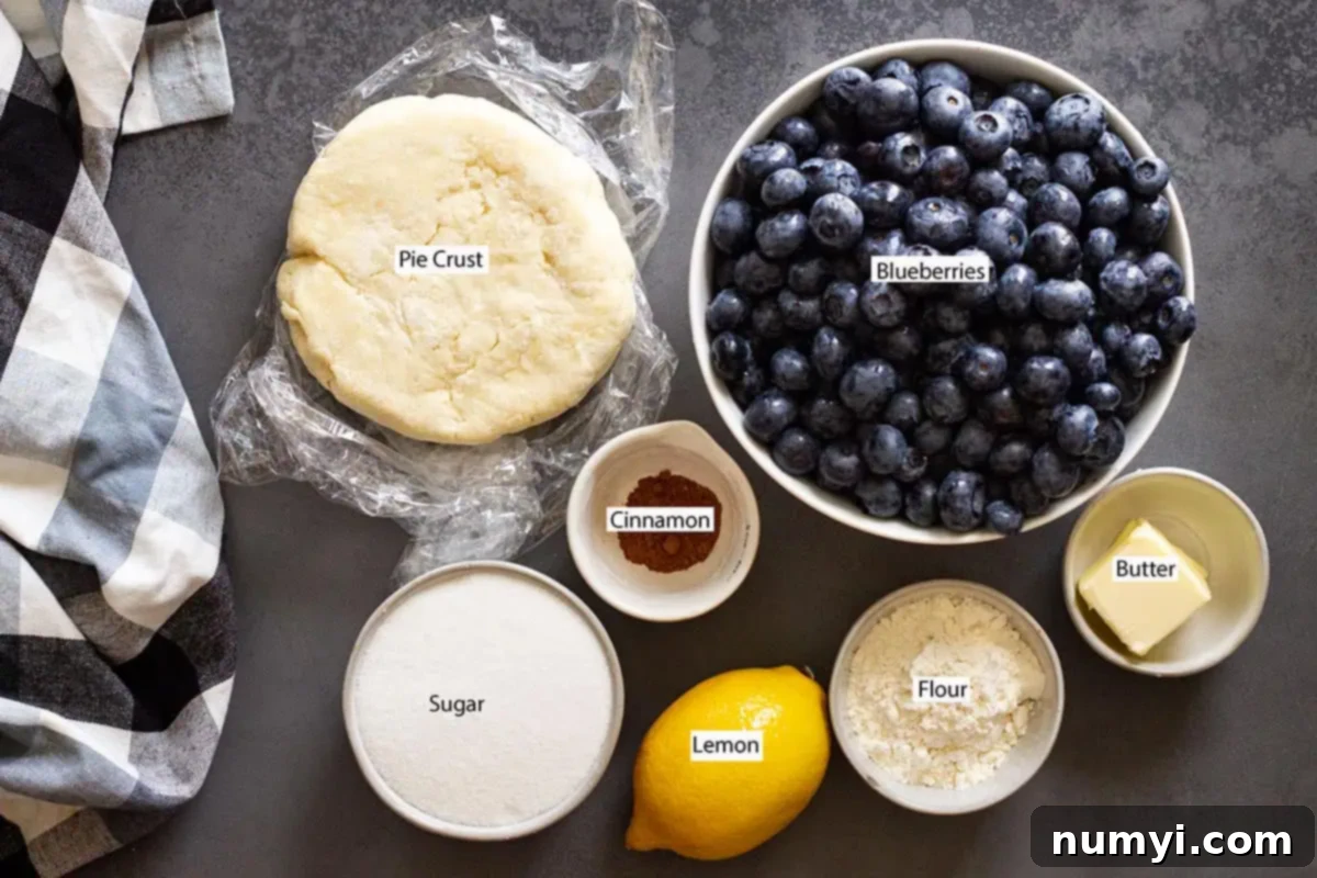 A flat lay photograph of all the ingredients needed to make a blueberry galette: pie dough, fresh blueberries, cinnamon, butter, flour, lemon, and granulated sugar.