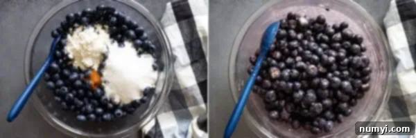 Overhead picture of mixing up the blueberry galette ingredients in a bowl.