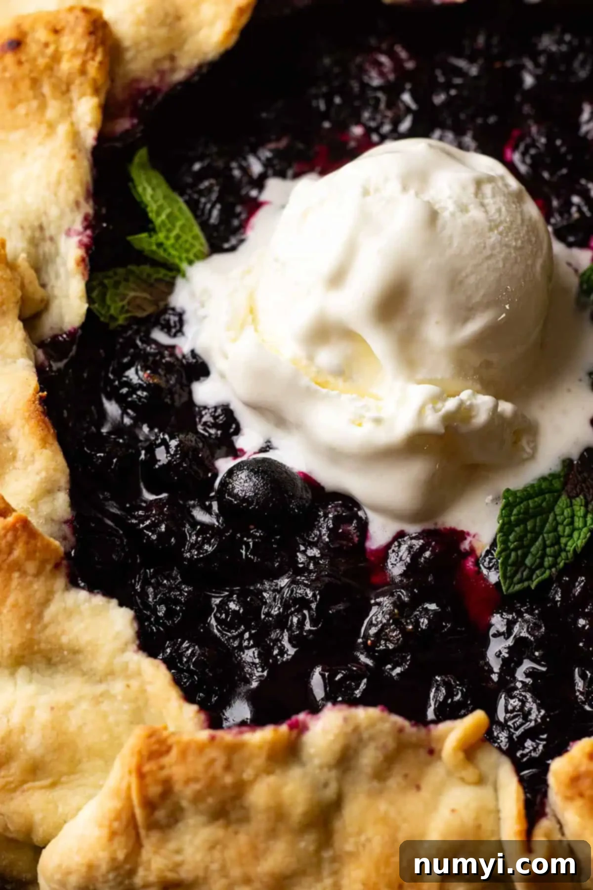 Close-up shot of a blueberry galette with a melting scoop of vanilla ice cream and fresh mint leaves, showcasing its inviting texture.