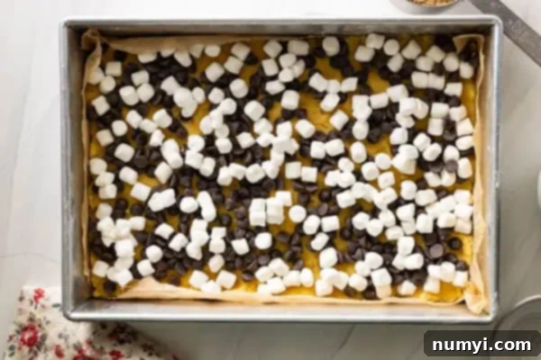 Cookie base sprinkled with marshmallows and chocolate chips.